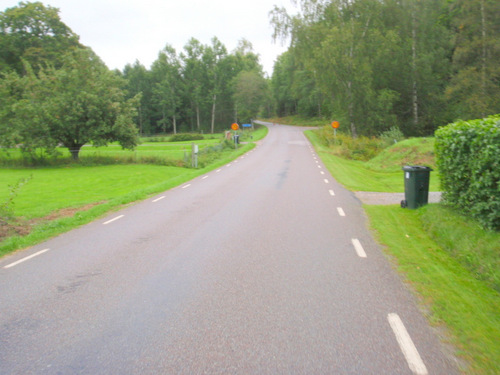 Roadside View.